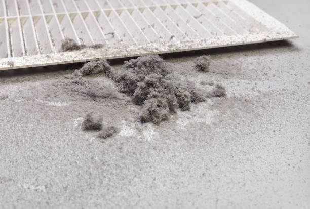 Best HVAC Air Duct Cleaning  in Richwood, LA